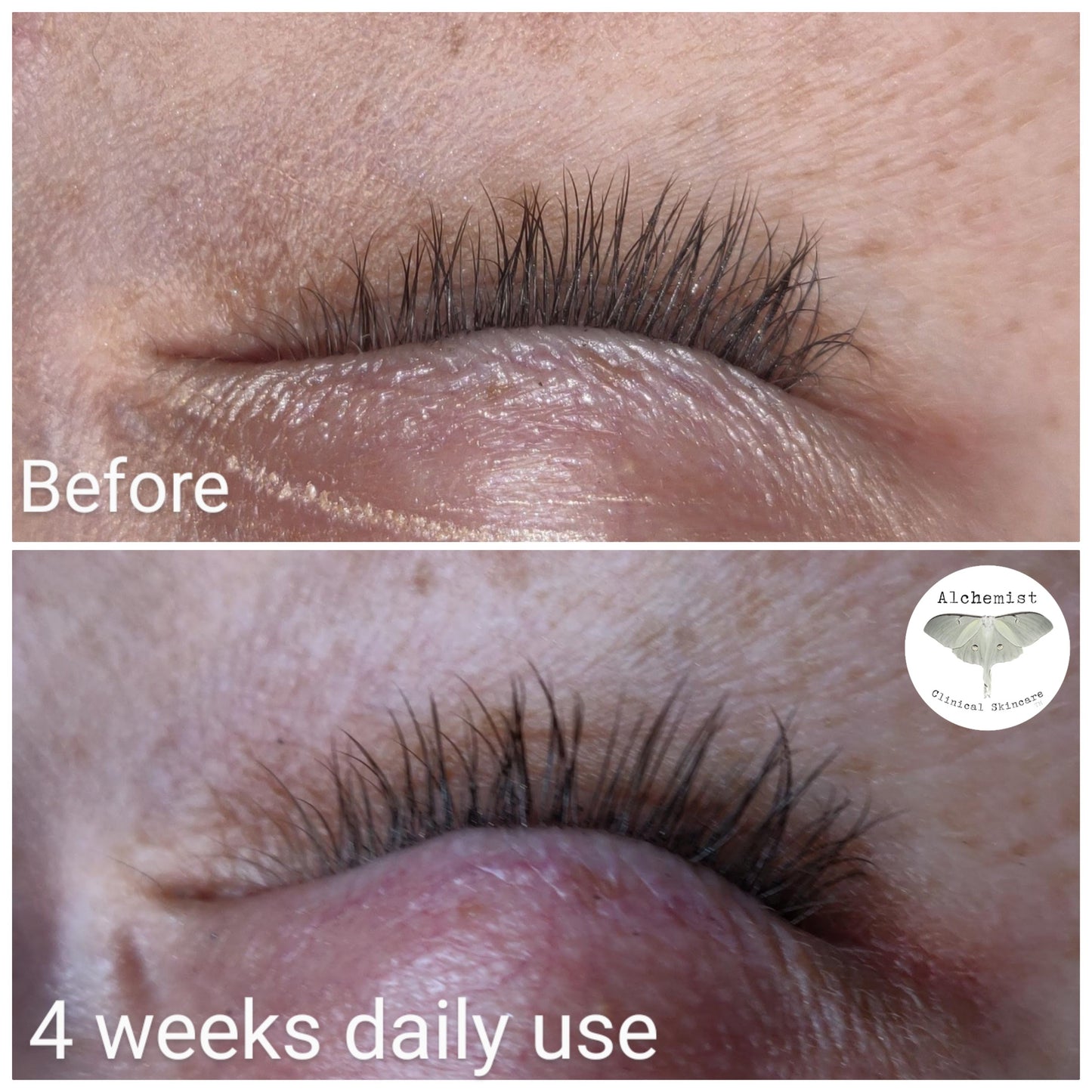 •Accrēscō• Lash & brow enhancing serum