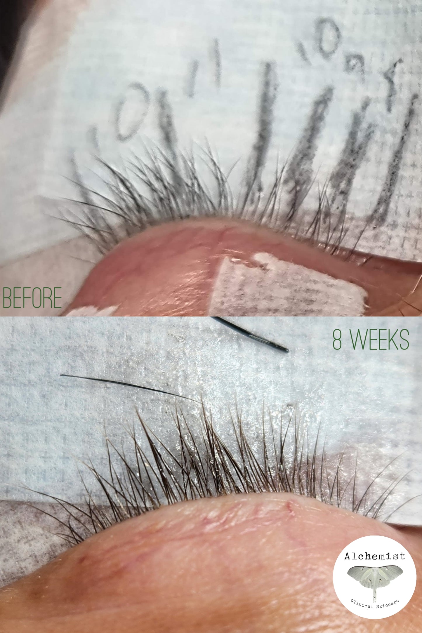 •Accrēscō• Lash & brow enhancing serum