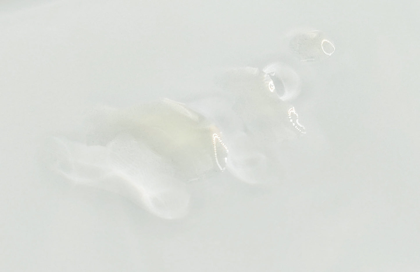 •Candeō• Vitamin C Serum